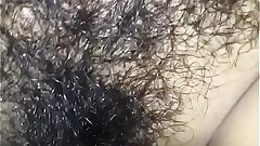 Hairy pussy fucked nicely