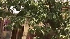 Desi Bhabhi Outdoor Shower Secretly Filmed By Neighbour - IndianHiddenCams.com