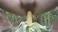 Khet men bhutta sexy chudai 3