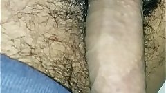 desi haryana indian cock 9 inch 3